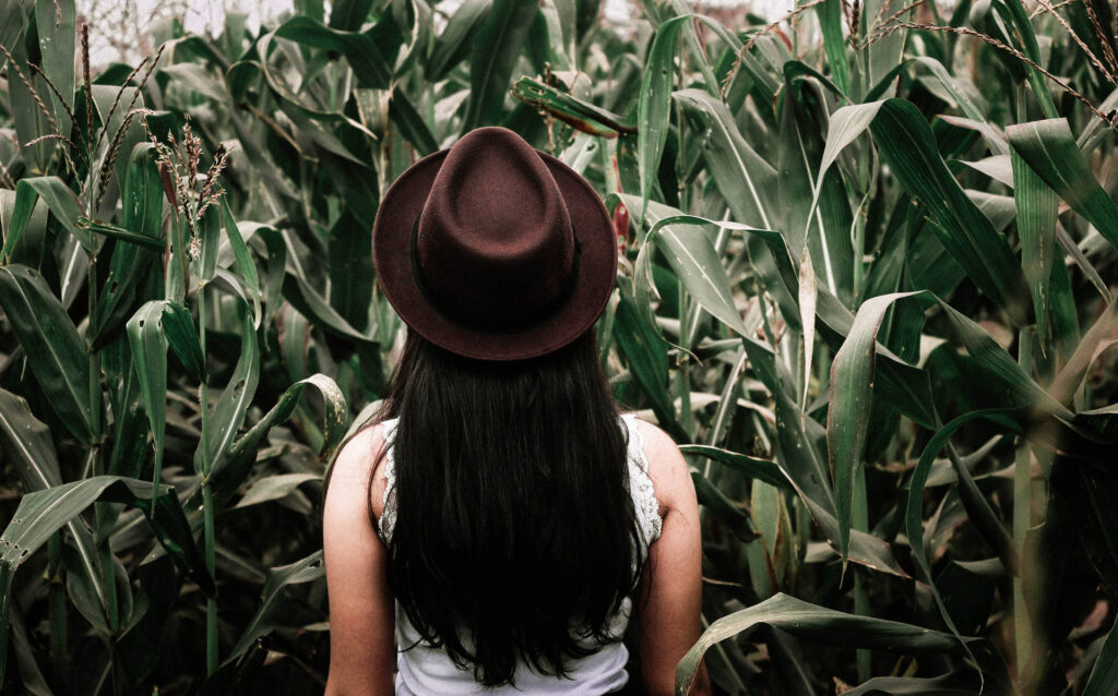 Why Being Stressed Makes Us Crave Junk Food Why Being Stressed Makes Us Crave Junk Food - Новости Золотого Кольца