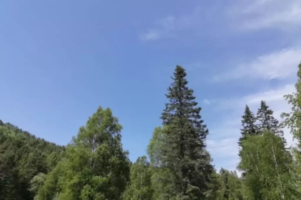 Во Владимирской области уже третьи сутки сохраняется угроза атаки БПЛА Во Владимирской области уже третьи сутки сохраняется угроза атаки БПЛА
