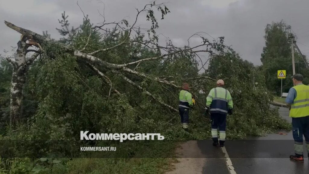 В Ярославской области расчищают дороги от упавших деревьев