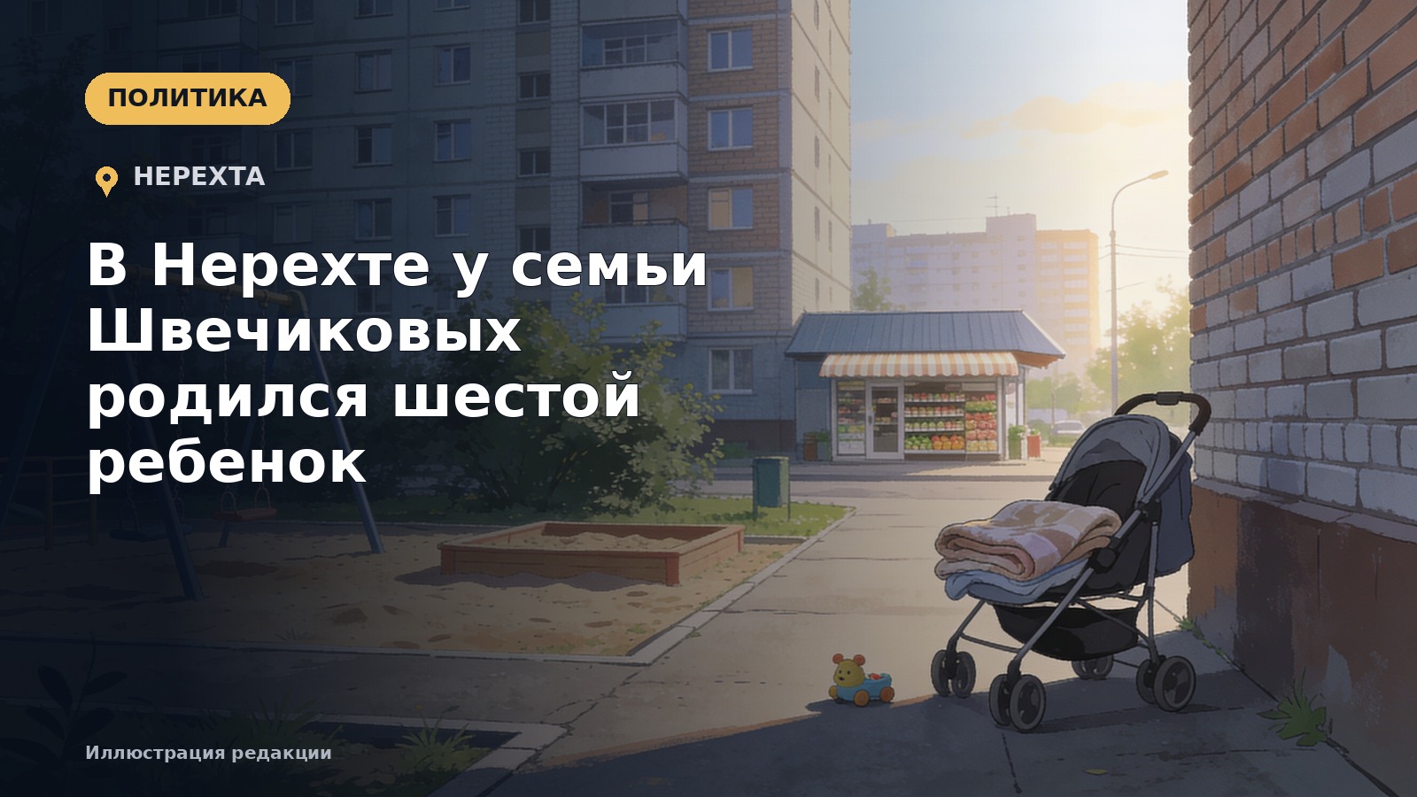 В Нерехте у семьи Швечиковых родился шестой ребенок — иллюстрация