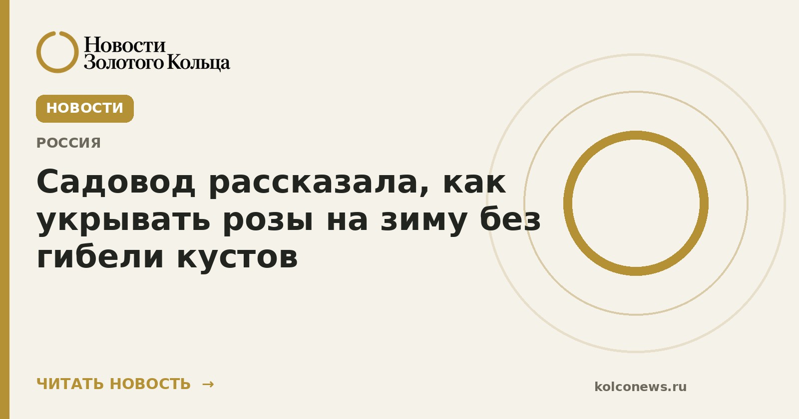 Садовод рассказала, как укрывать розы на зиму без гибели кустов