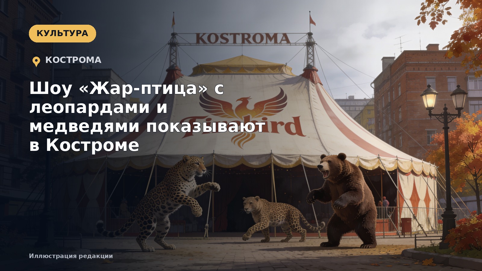 Шоу «Жар-птица» с леопардами и медведями показывают в Костроме — иллюстрация