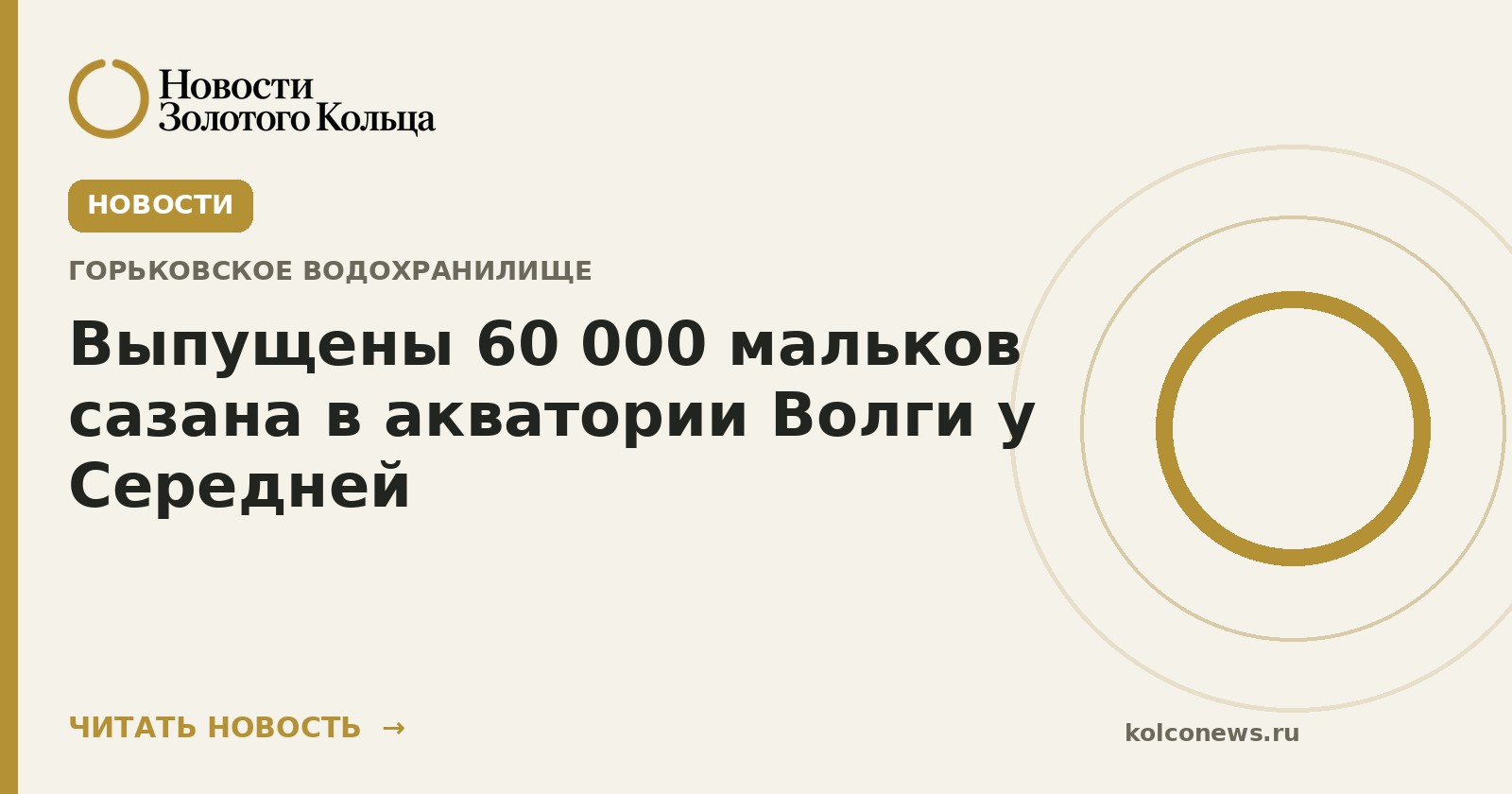 Выпущены 60 000 мальков сазана в акватории Волги у Середней