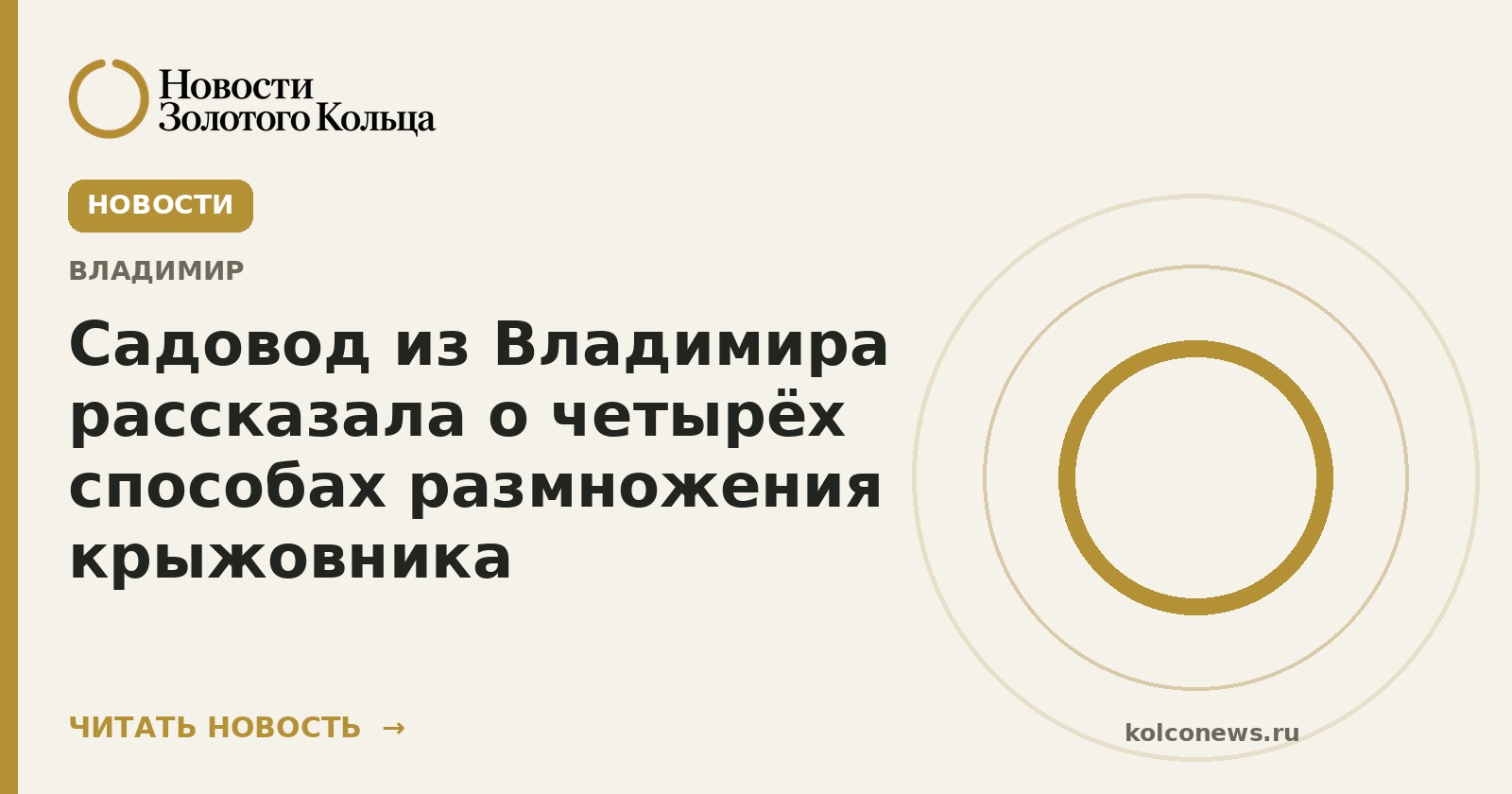 Садовод из Владимира рассказала о четырёх способах размножения крыжовника