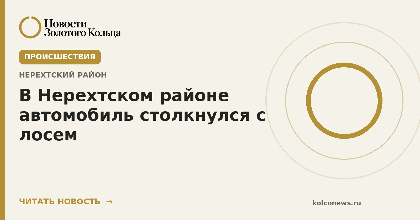 В Нерехтском районе автомобиль столкнулся с лосем