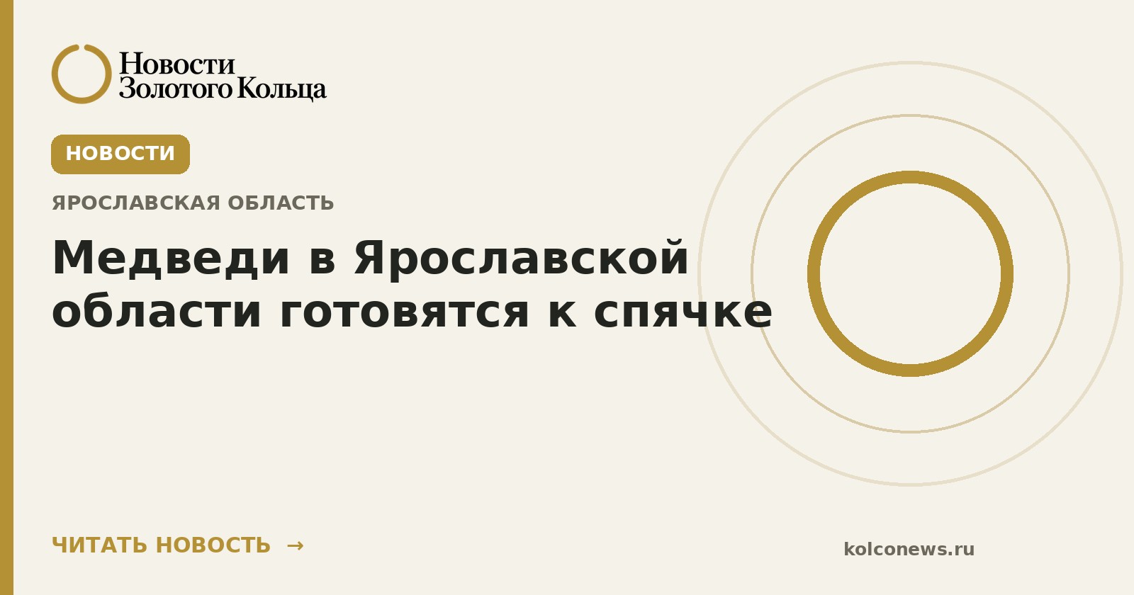 Медведи в Ярославской области готовятся к спячке