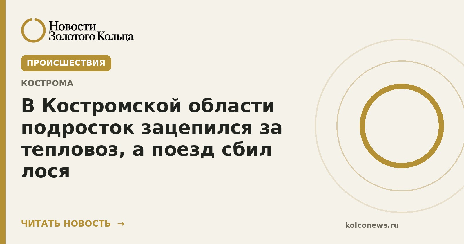 В Костромской области подросток зацепился за тепловоз, а поезд сбил лося
