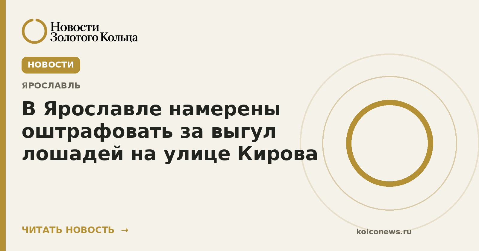 В Ярославле намерены оштрафовать за выгул лошадей на улице Кирова