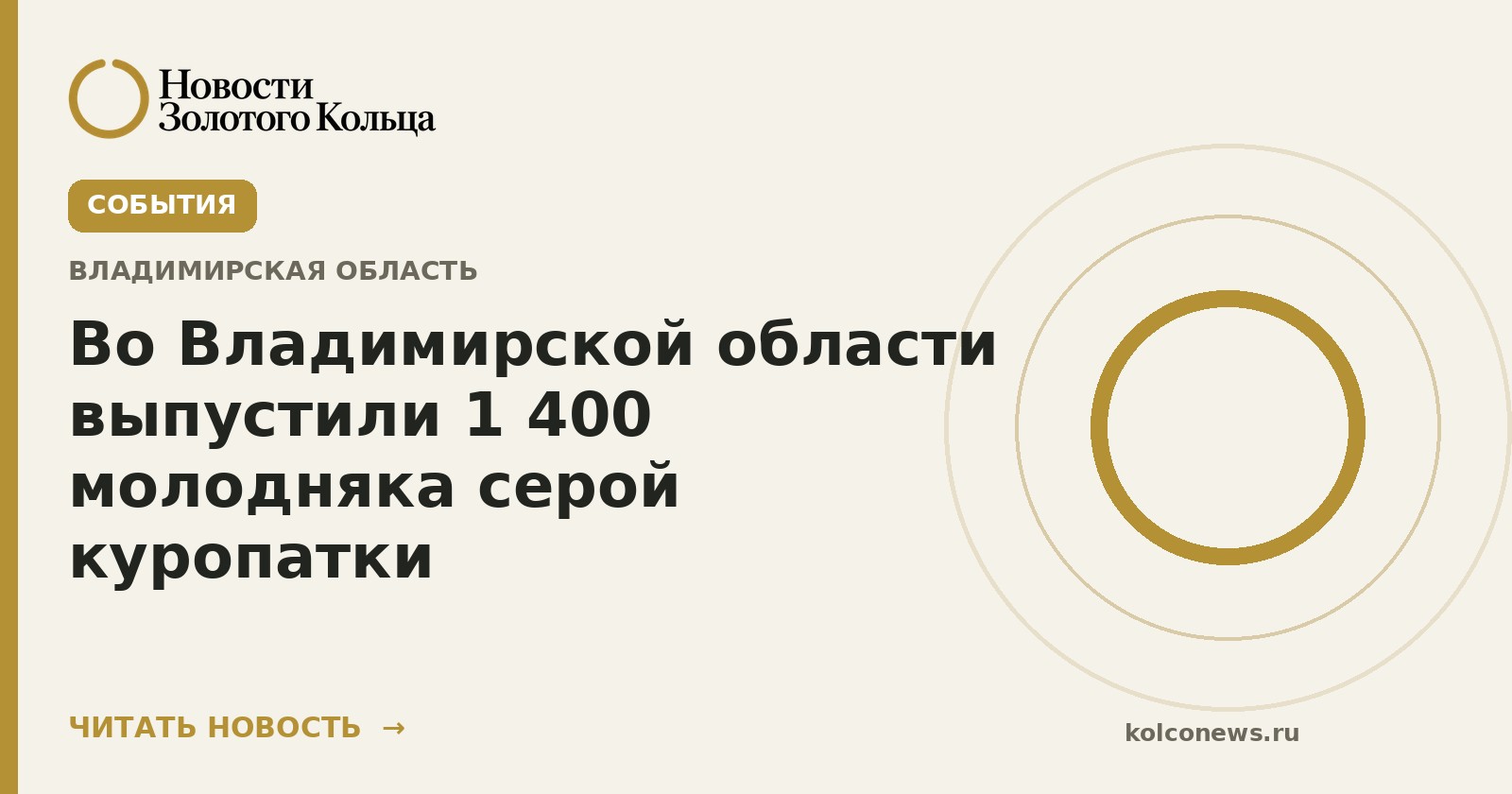 Во Владимирской области выпустили 1 400 молодняка серой куропатки